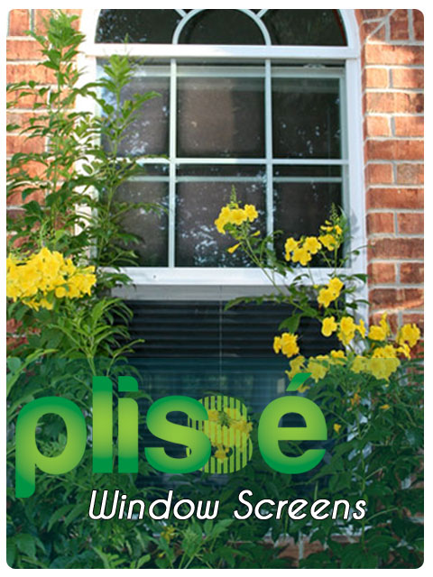 Plisse Retractable Window Screens Gallery